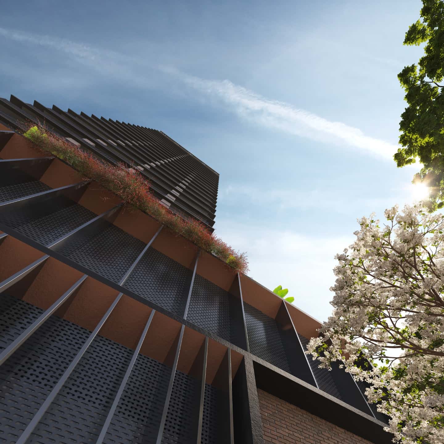 Hype Ricardo Paranhos