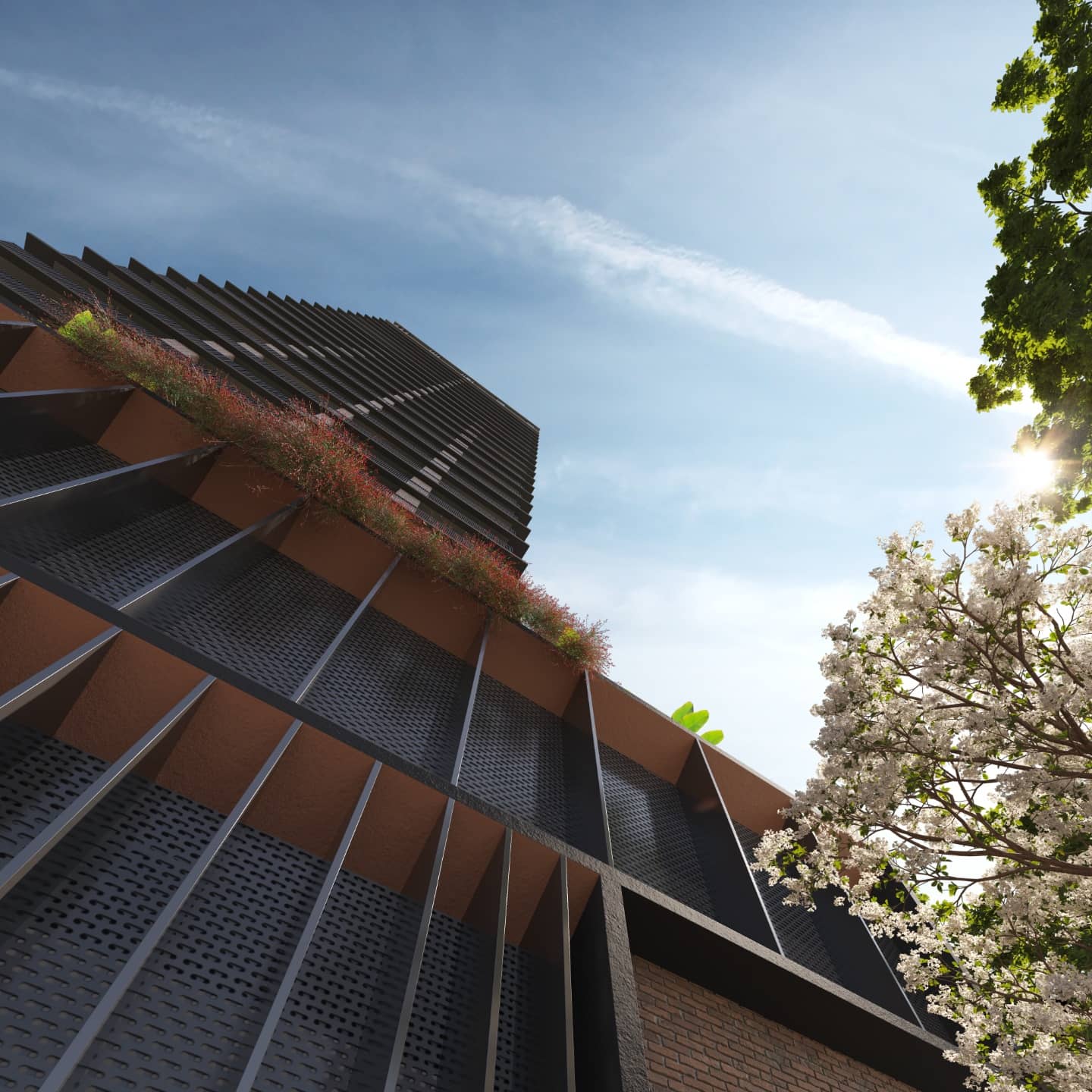 Hype Ricardo Paranhos