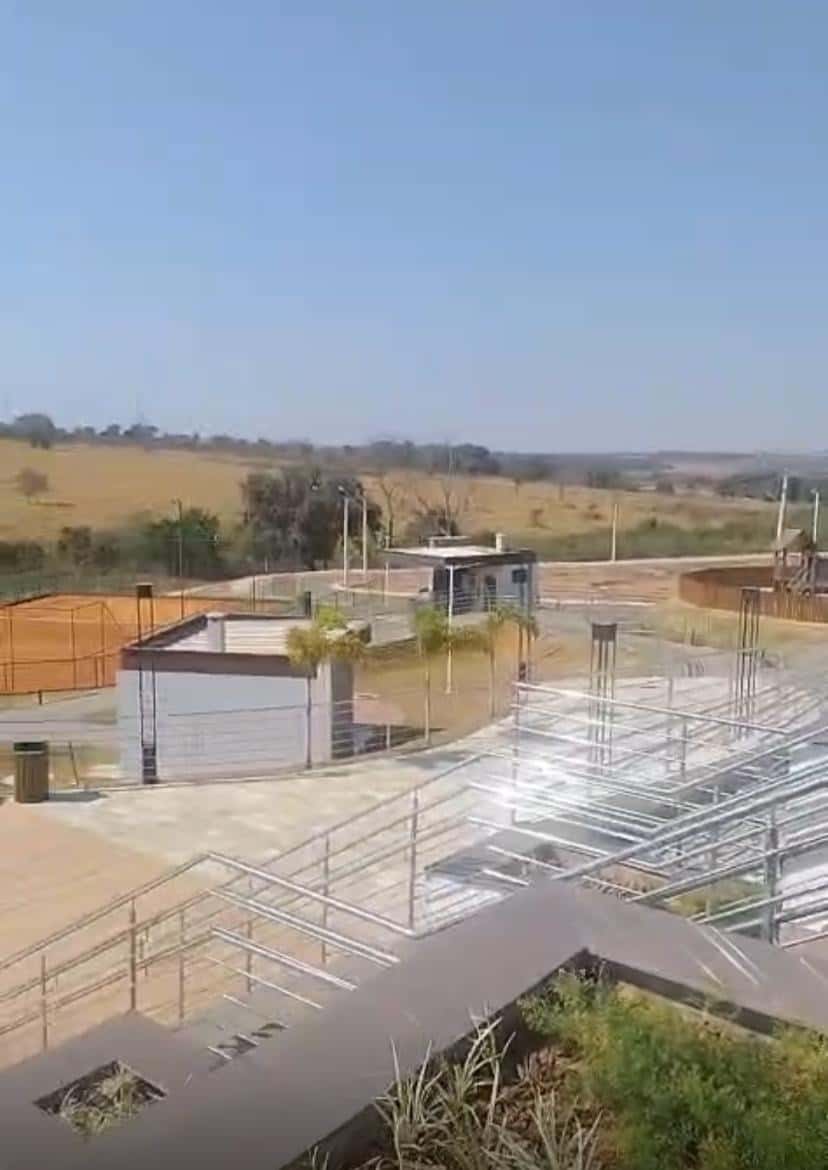 Vinhas Flamboyant excelente lote.