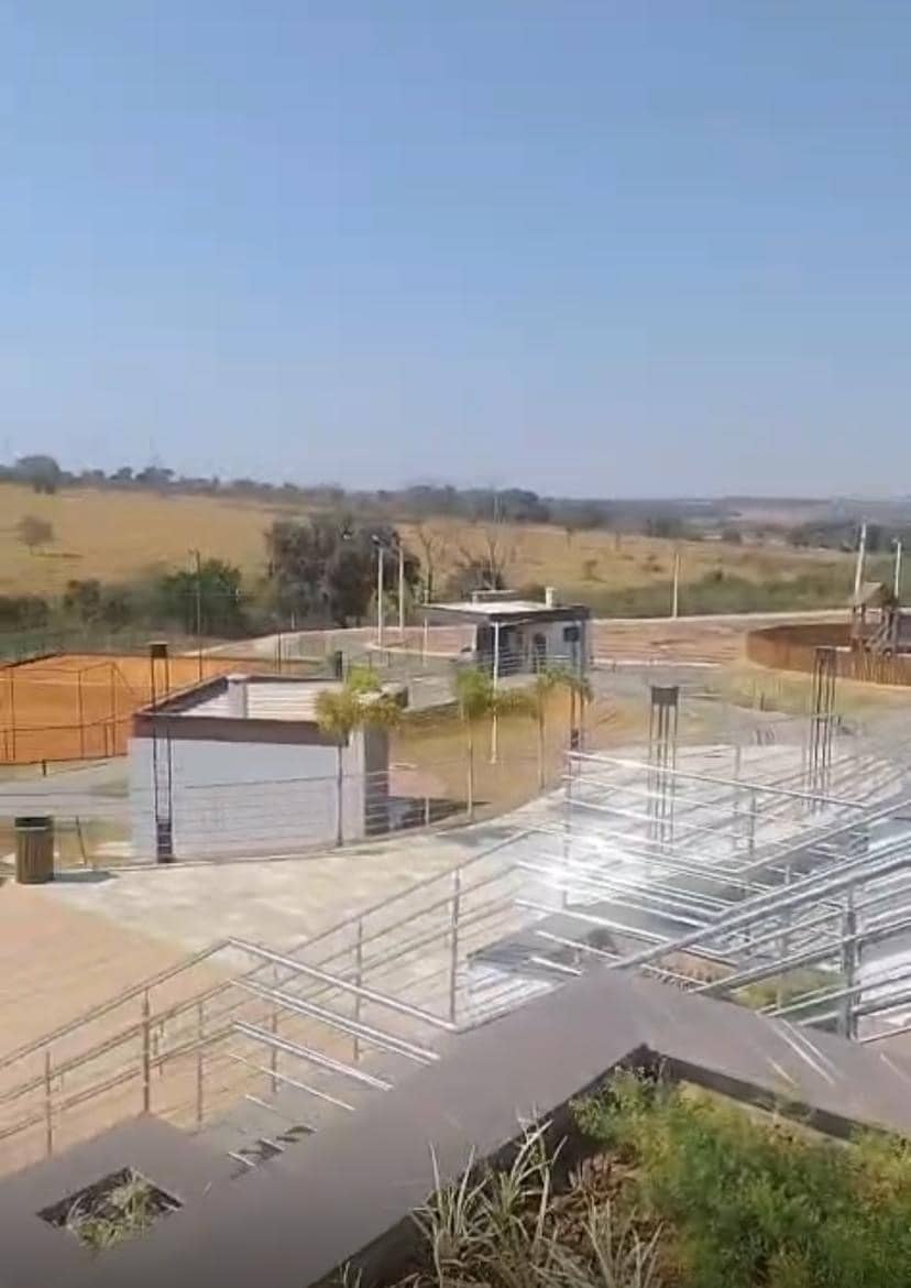 Vinhas Flamboyant excelente lote.