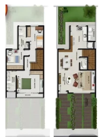 Planta 15